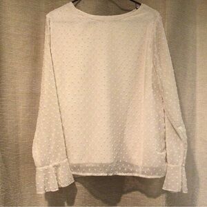 Swiss Dot Crewneck blouse